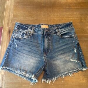 Kut From the Kloth Denim Shorts
